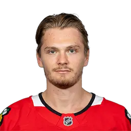 headshot of Arvid